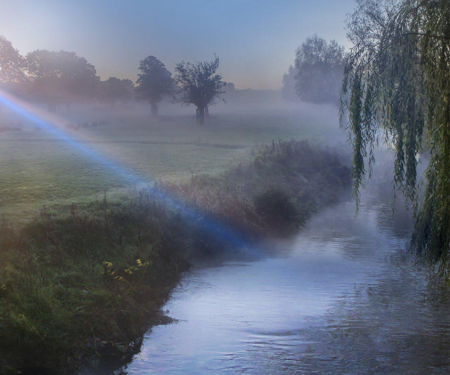 Warner's Distillery Ltd 